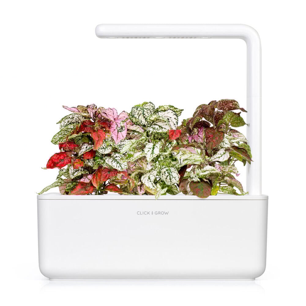 Click&Grow Smart Garden refill Polka Dot 3-pk