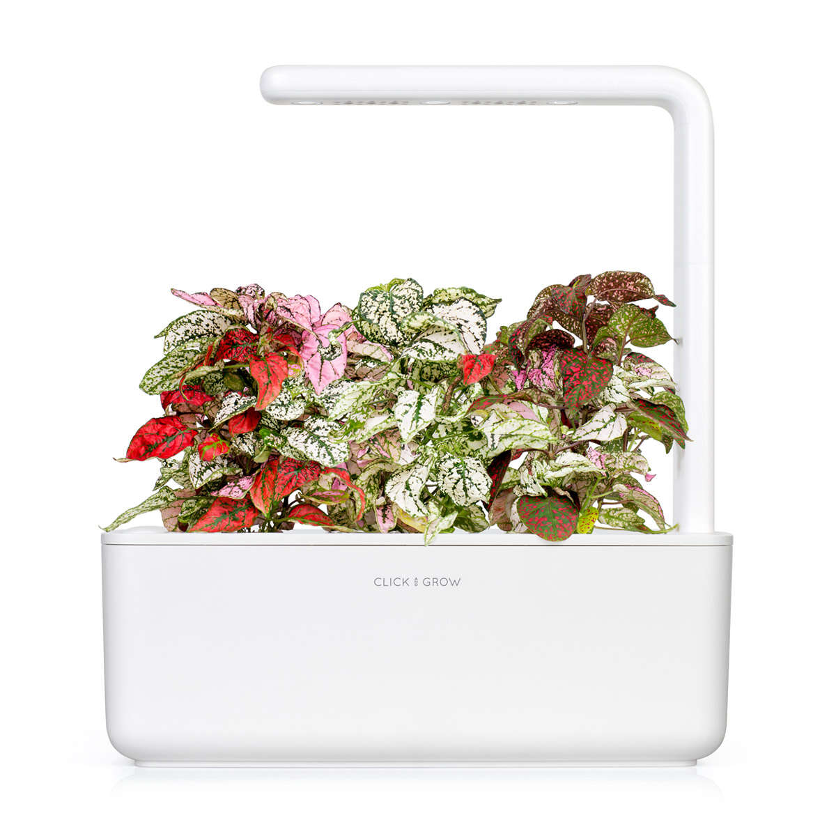 Click&Grow Smart Garden refill Polka Dot 3-pk