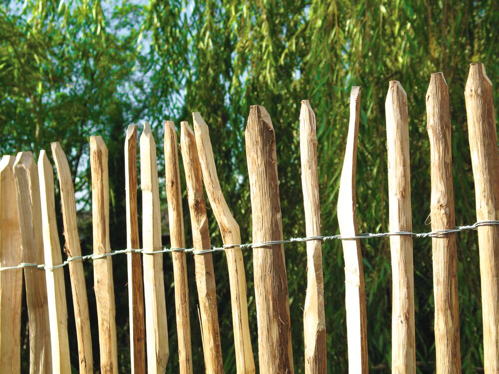 Palmako 120 cm x10 meter hasseltre stakitt