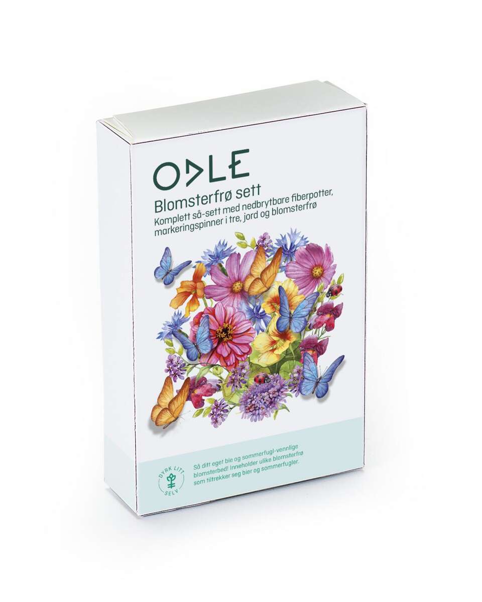 Odle sommerfugl frøblanding