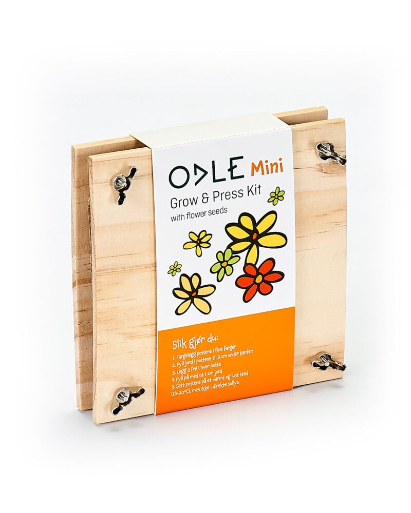 Odle mini blomsterpresse med frø