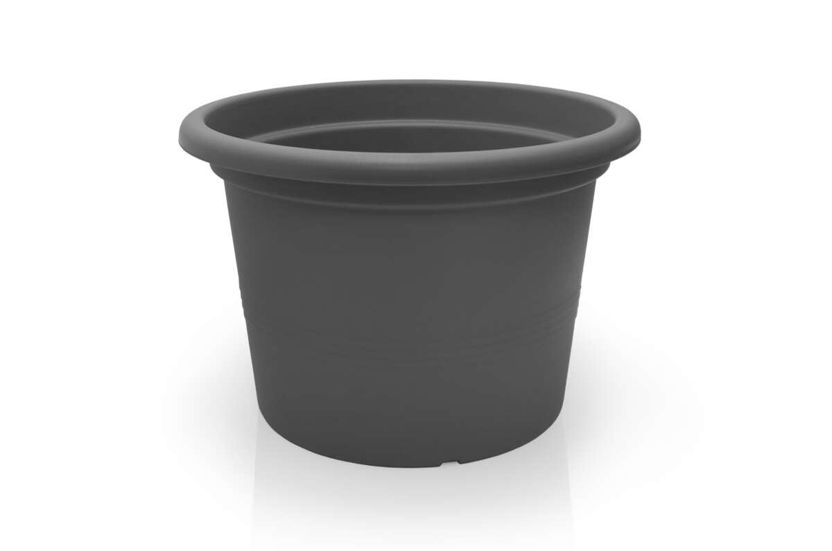 Odle Camelie dyrkepotte