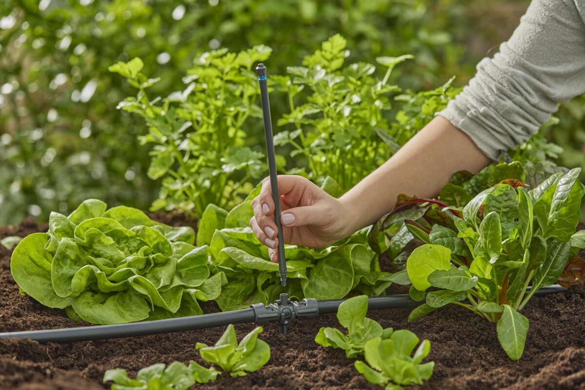 GARDENA MDS Forlengerrør sprededyse 5pk