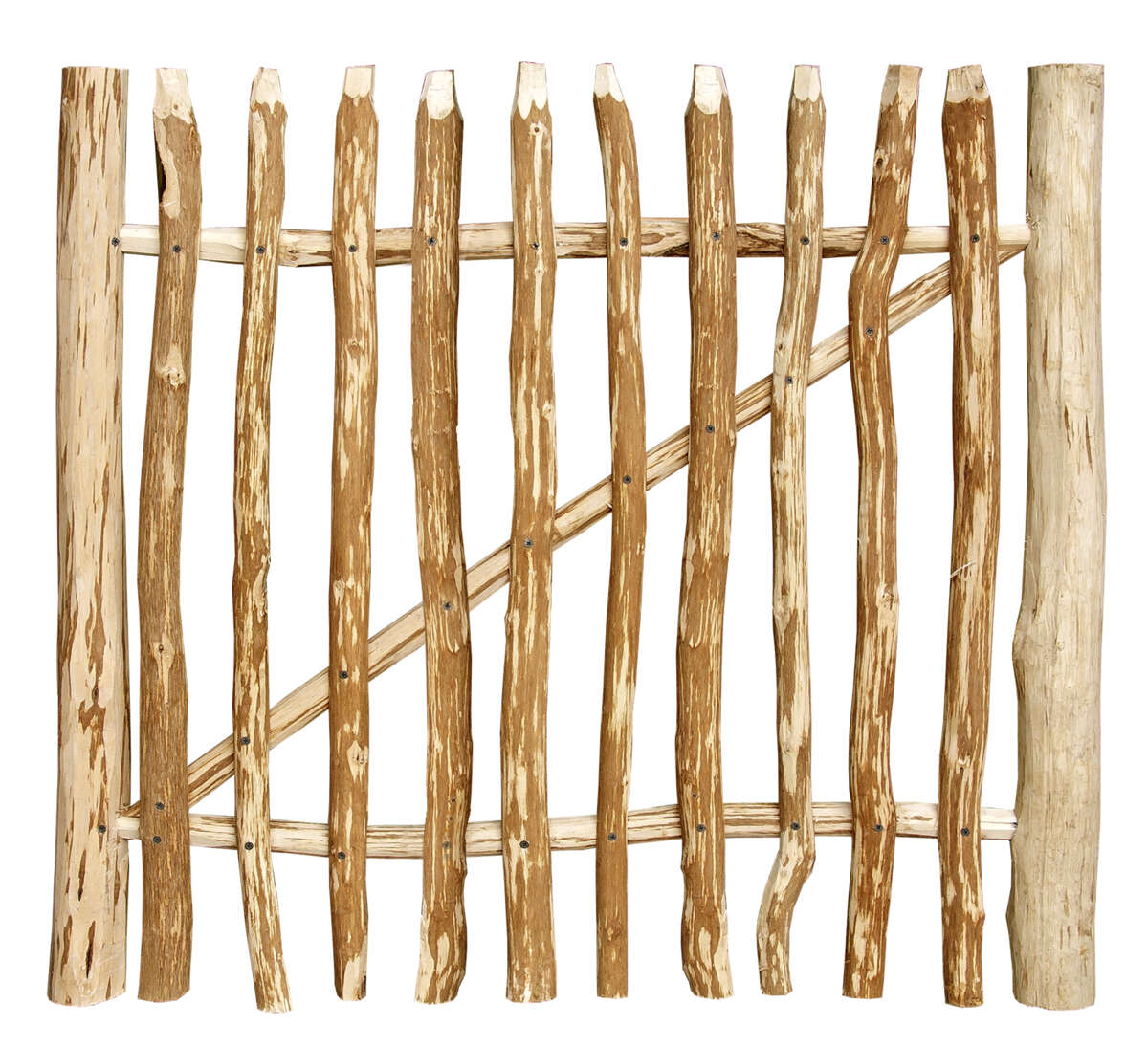 Palmako 120 cm hasseltre port