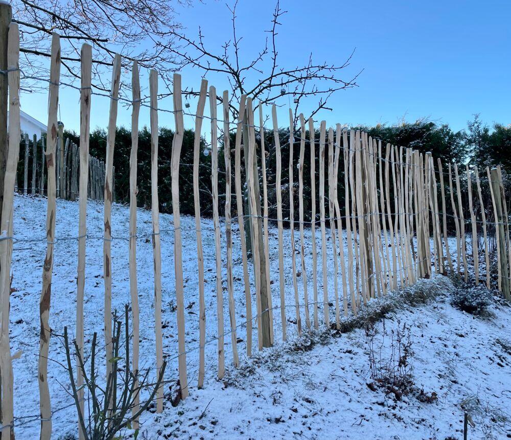 Palmako 150 cm x 5 m hasseltre stakitt