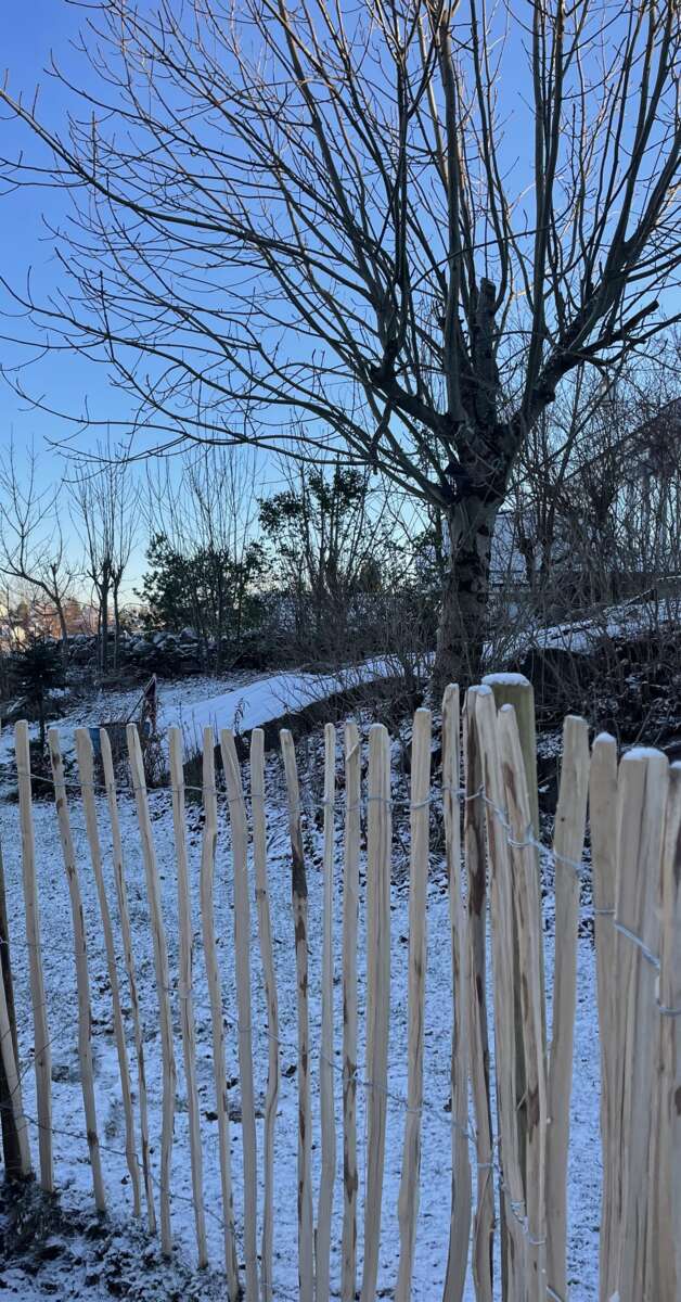 Palmako 150 cm x 5 m hasseltre stakitt