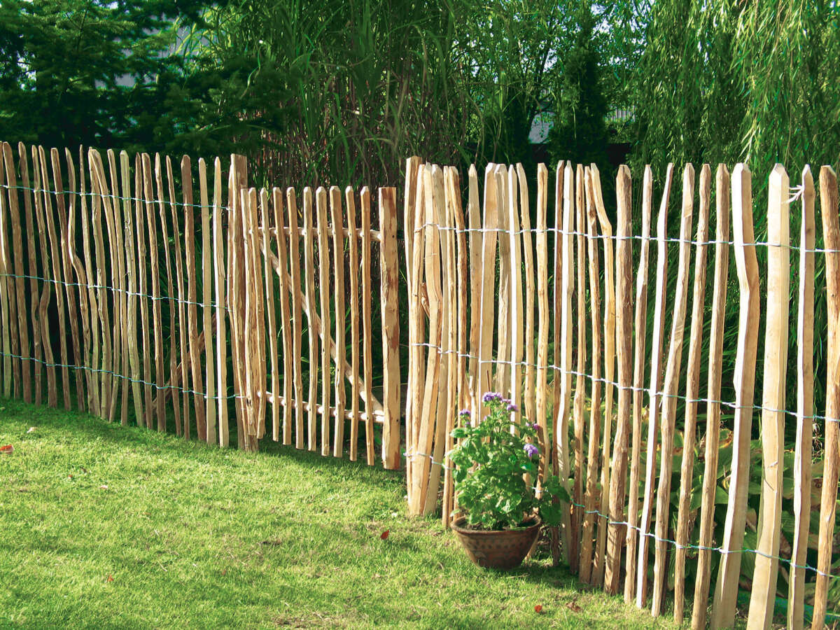 Palmako 120 cm hasseltre port