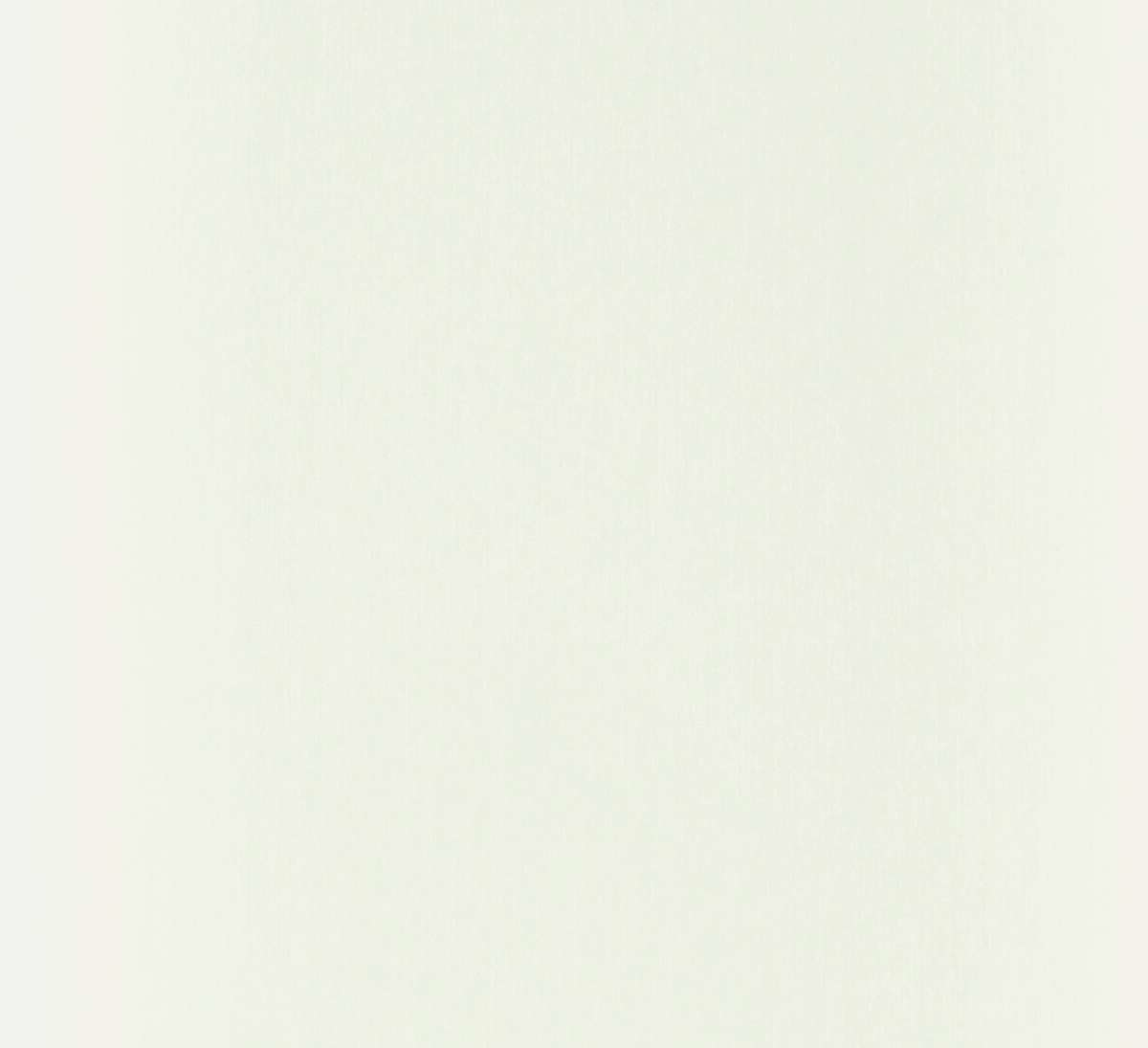 Walls2Paint sponplate 2-pk