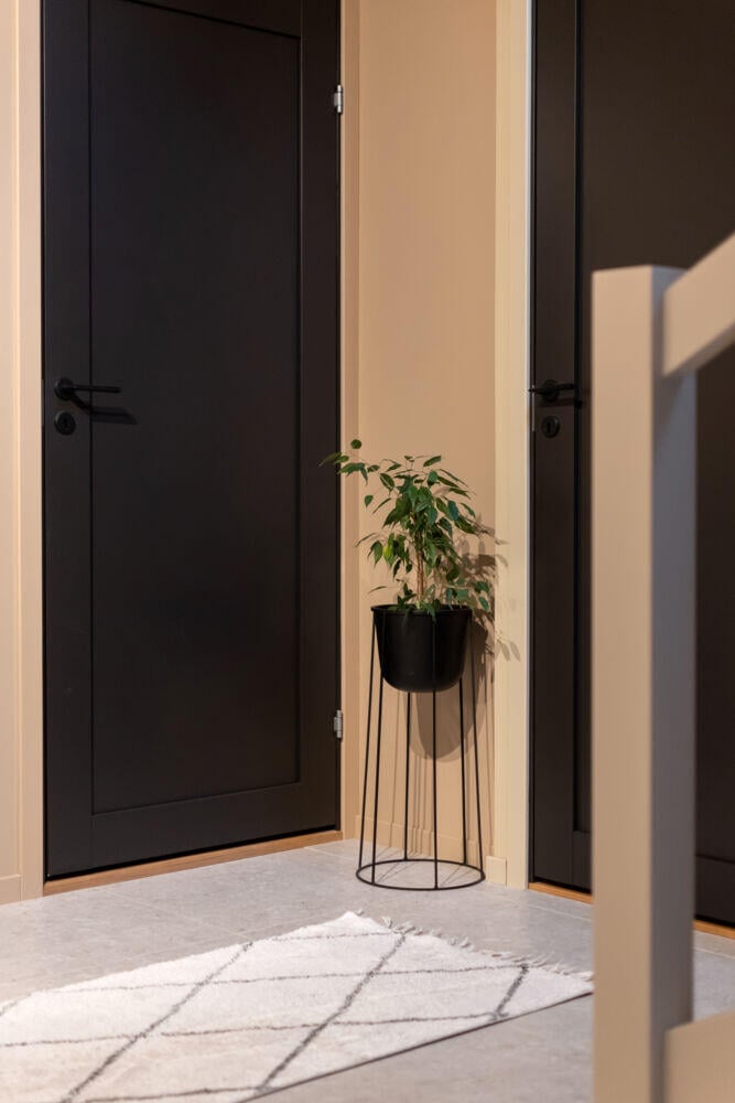 Harmonie Line 1-speil massiv innerdør