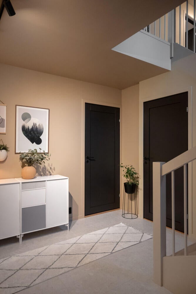 Harmonie Line 1-speil massiv innerdør