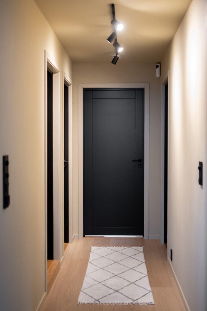 Harmonie Line 1-speil massiv innerdør