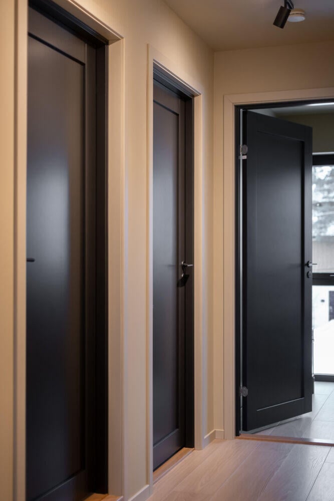 Harmonie Line 1-speil massiv innerdør