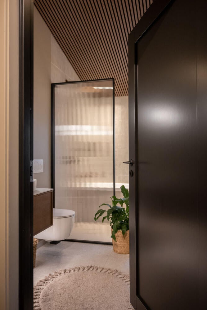 Harmonie Line 1-speil massiv innerdør