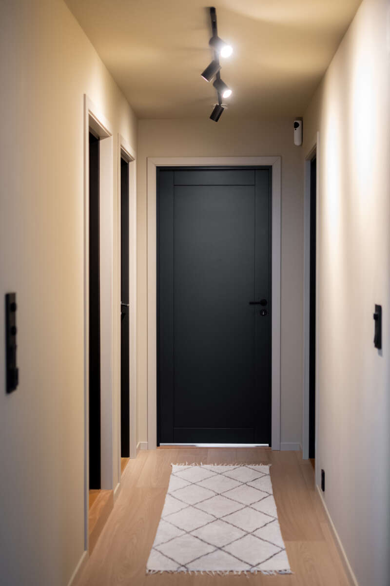 Harmonie Line 1-speil massiv innerdør