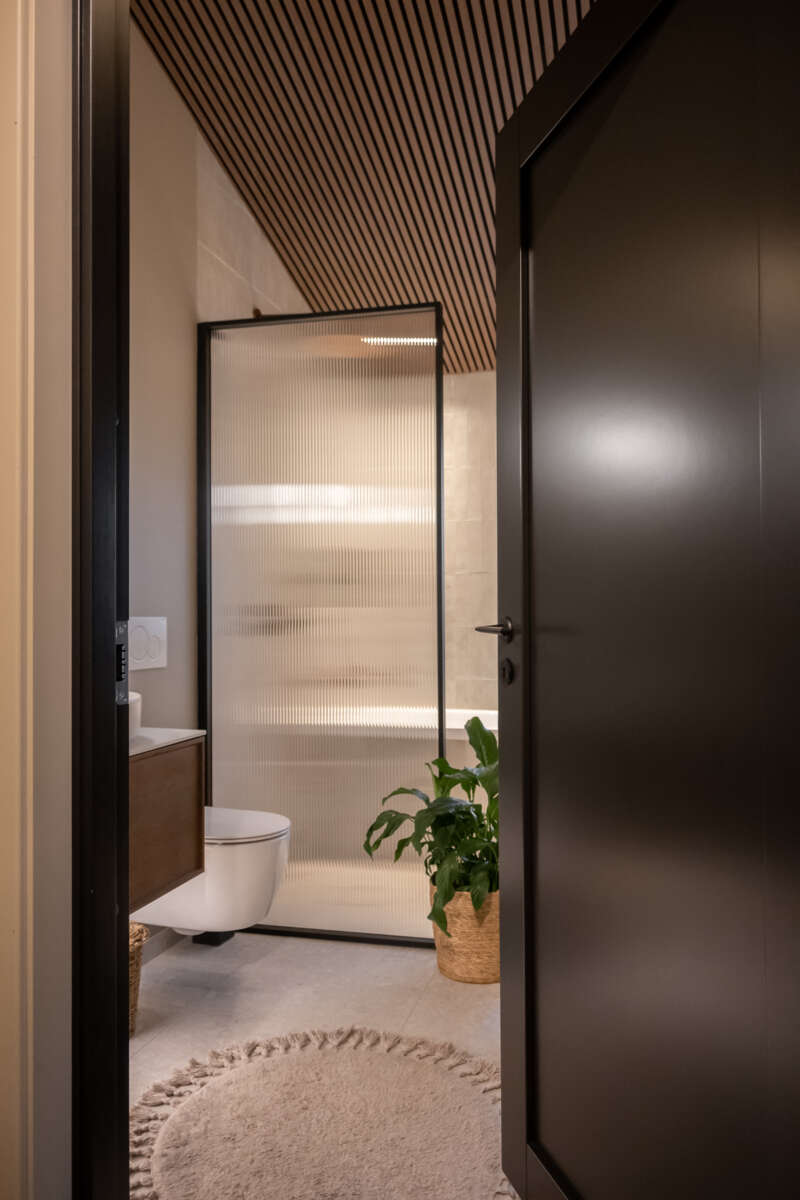 Harmonie Line 1-speil massiv innerdør