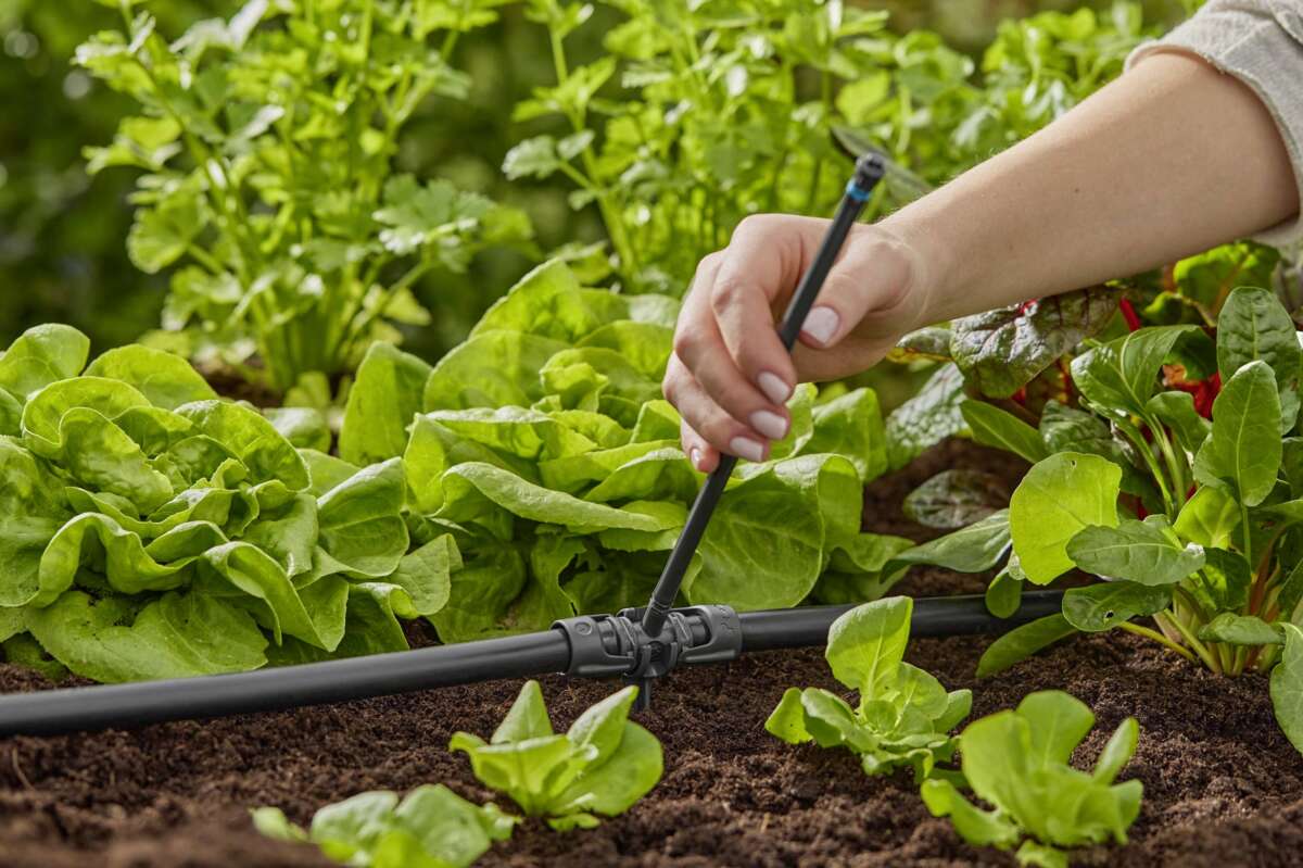 GARDENA MDS Forlengerrør sprededyse 5pk