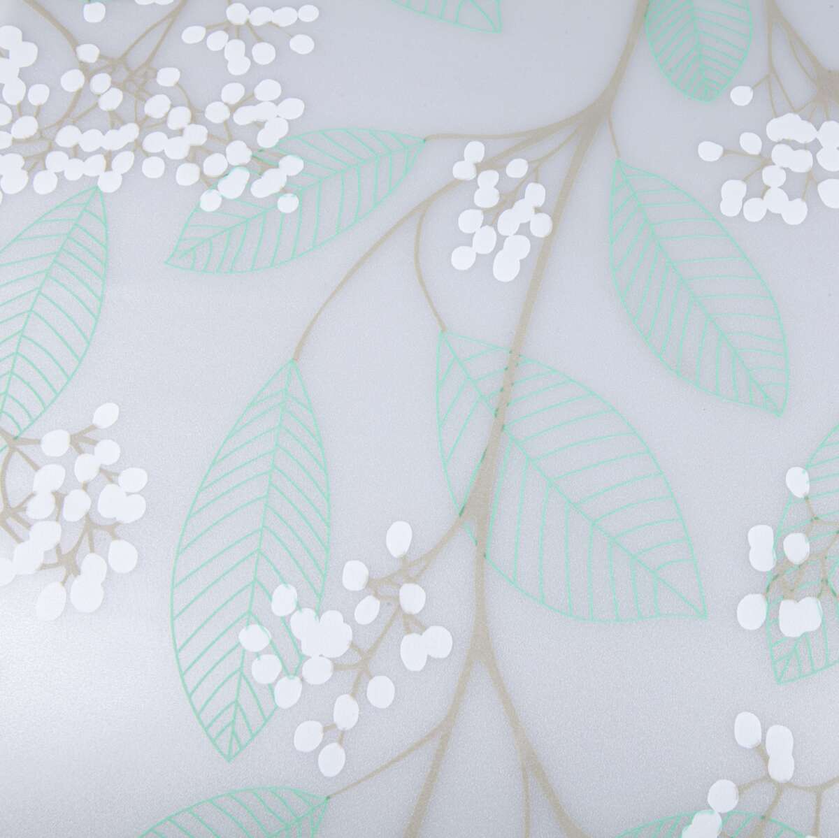 Venilia Ficus vindusfolie