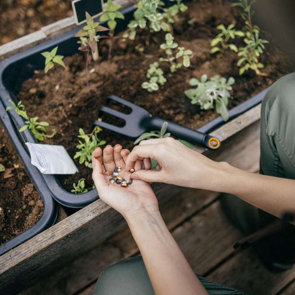 Fiskars Solid lukeklo