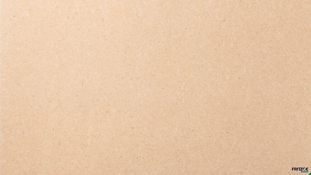 WoodWorld MDF plate Tricoya Extreme 12x1200x600 mm