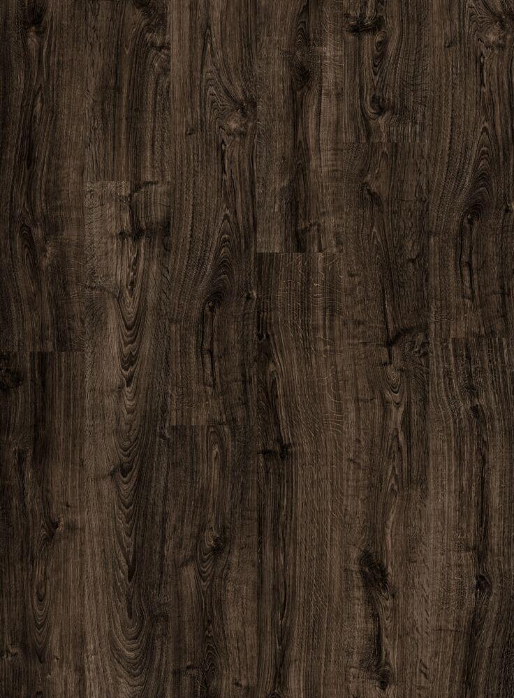 BLACK CITY OAK