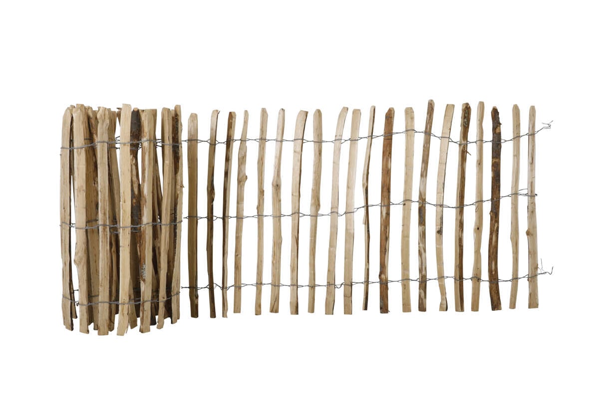 Krifon gjerde kastanje