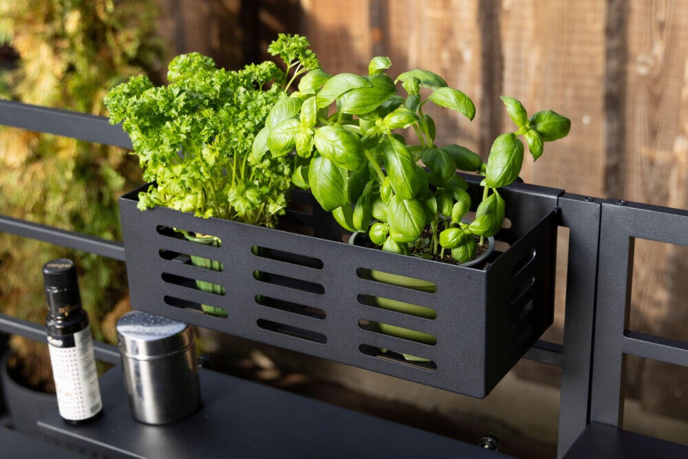 FCC utekjøkken henge kurv