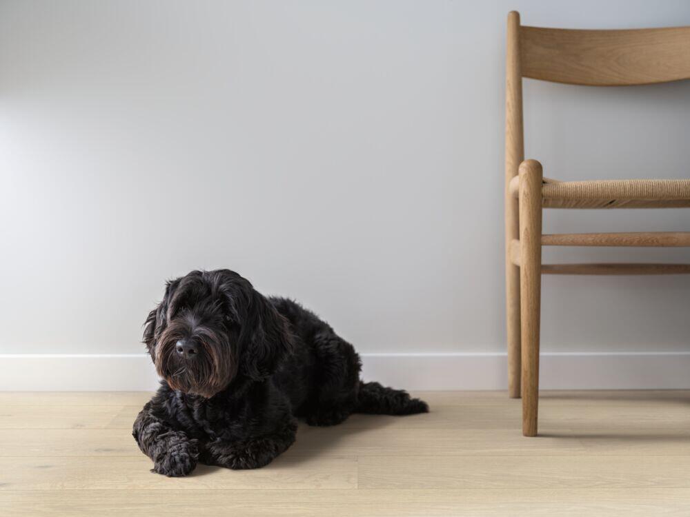 Pergo Lofoten 1-stav parkettgulv