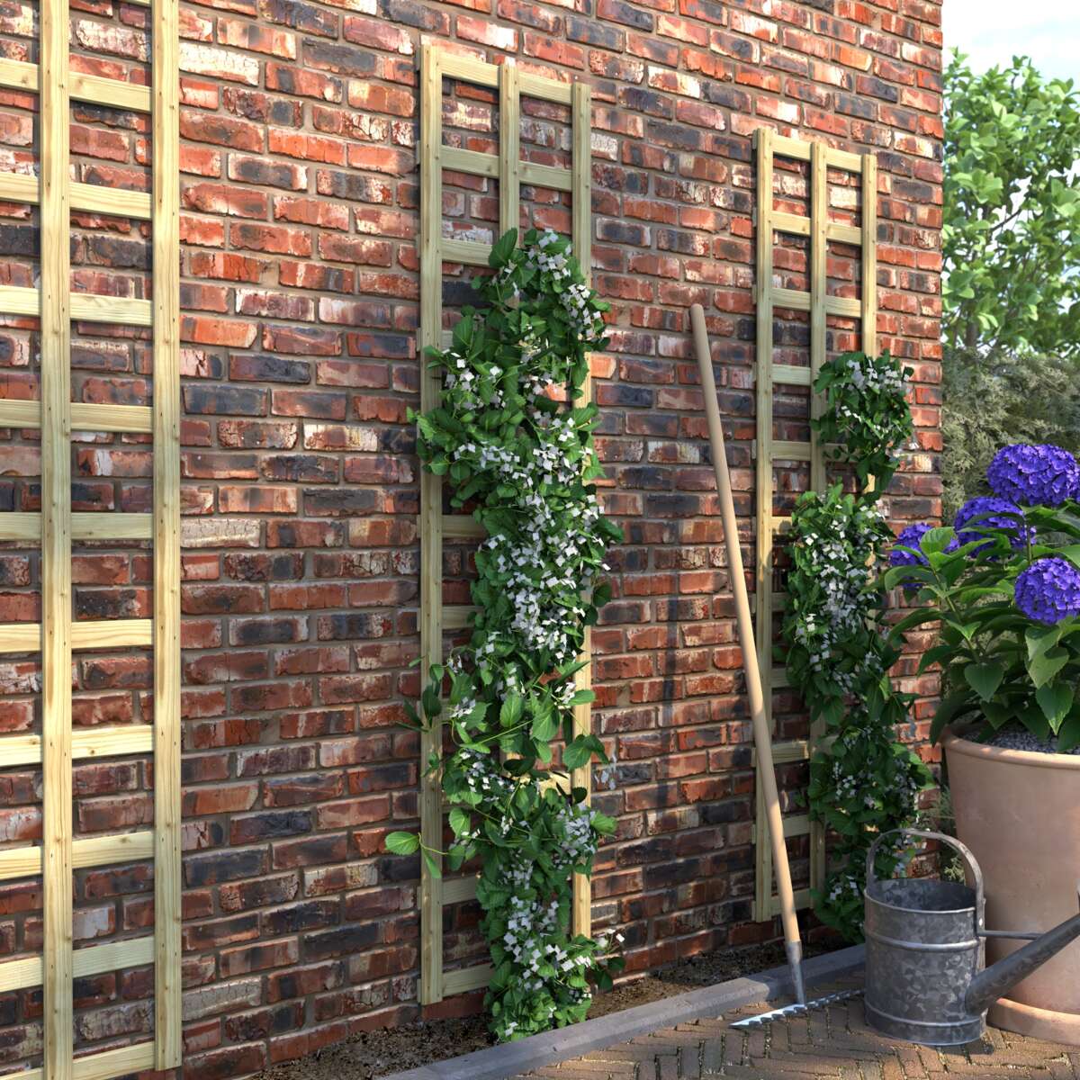 Krifon espalier 40x180 cm