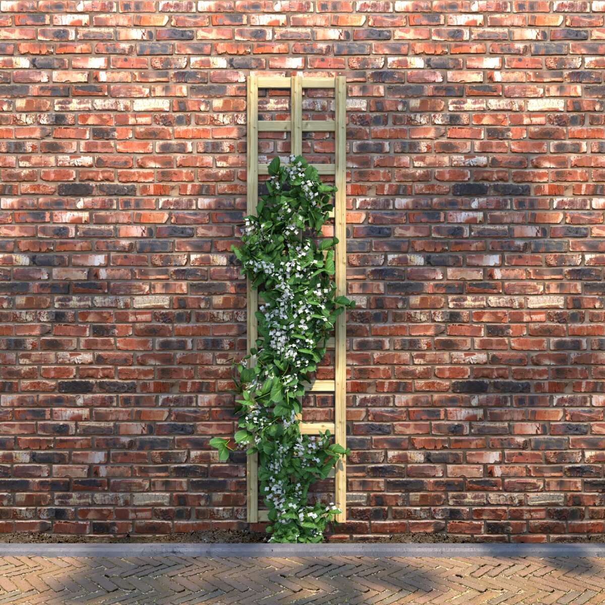 Krifon espalier 40x180 cm