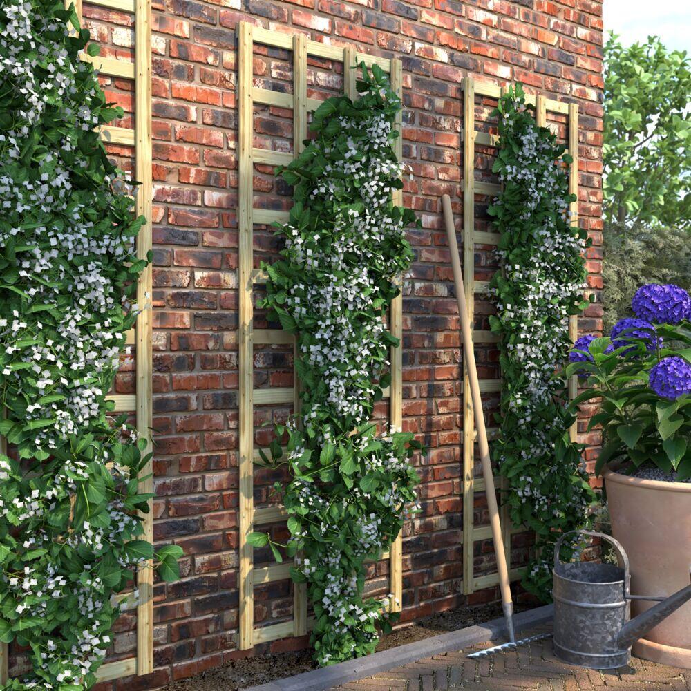 Krifon espalier 60x180 cm