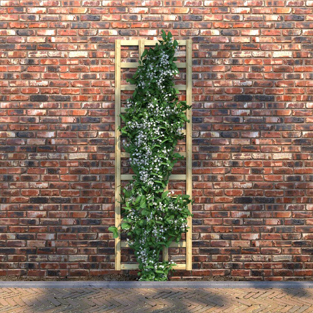 Krifon espalier 60x180 cm
