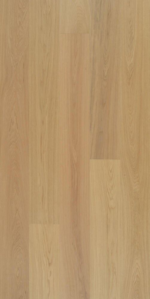 NORMANDY OAK CALM