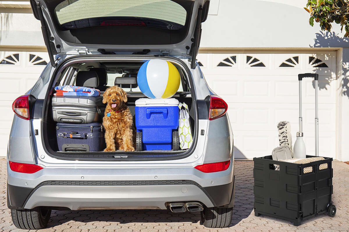 Probuilder verktøykasse med hjul