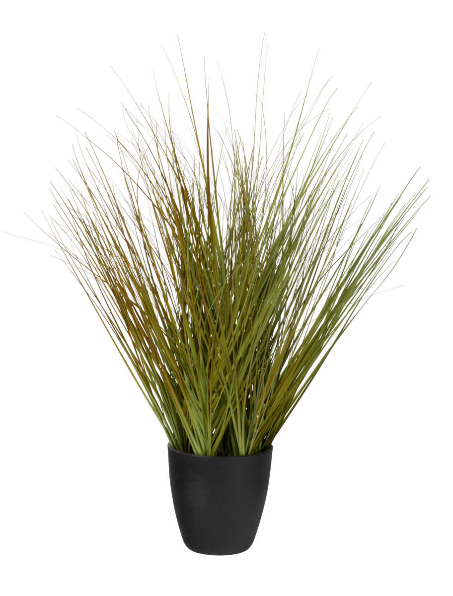 Aks kunstig gress i potte