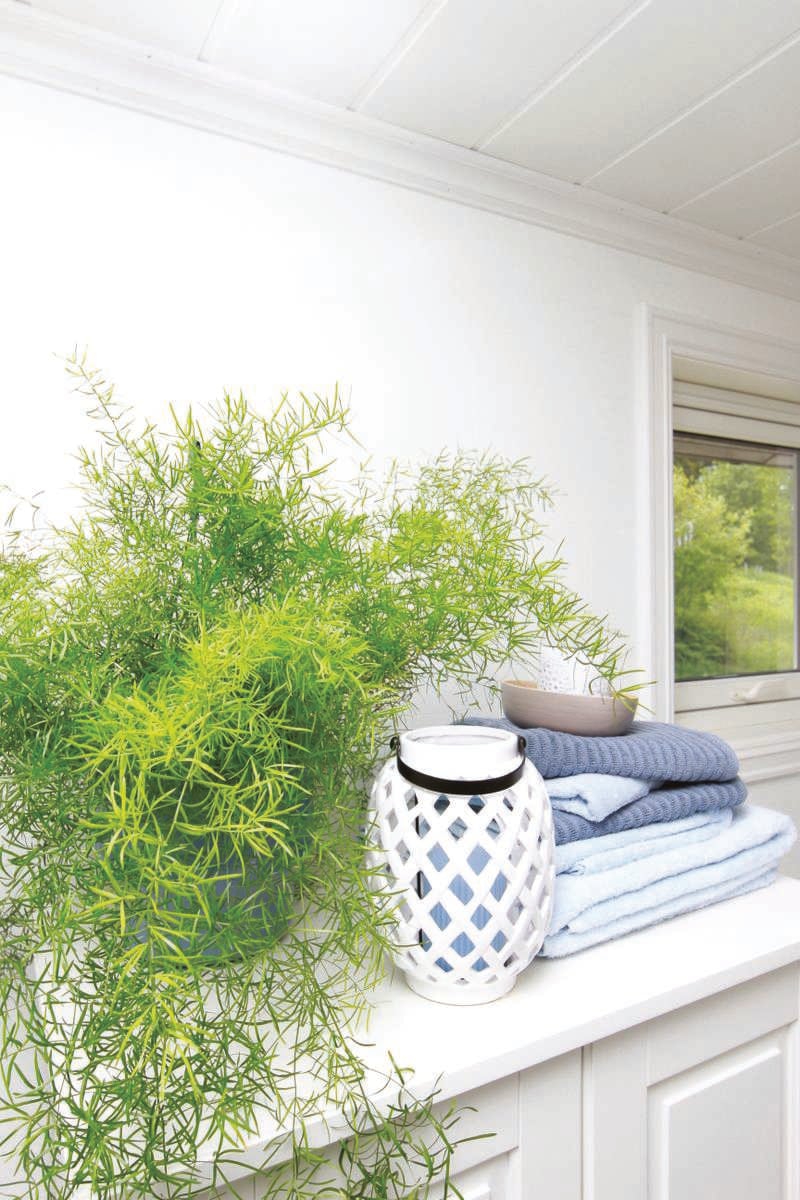 Huntonit skygge panelbord