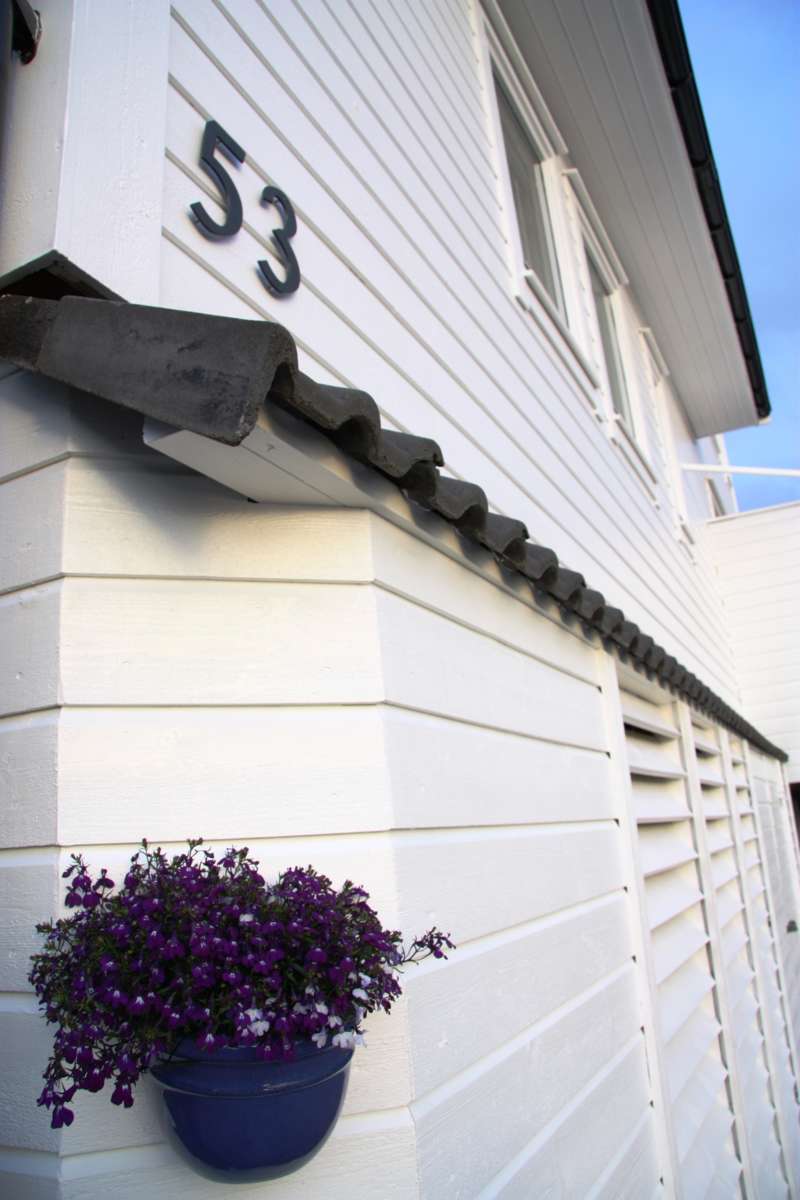 19x123 dobbelfals 60 gr kledning