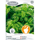 Produkt miniatyrebild Nelson Garden frø Basilikum, glattbladet, grønn