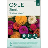 Produkt miniatyrebild Odle 'Sunbow mixed' sinnia frø