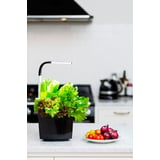 Produkt miniatyrebild Tregren kjøkkenhage/minidrivhus, sort