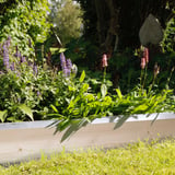 Produkt miniatyrebild Nyby sneglekant plantekasse