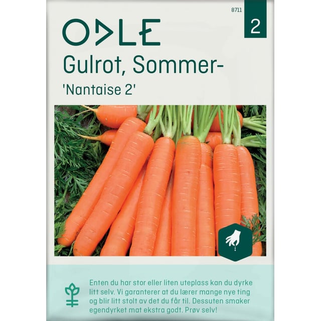 Odle 'Nantaise 2' sommer- gulrot frø