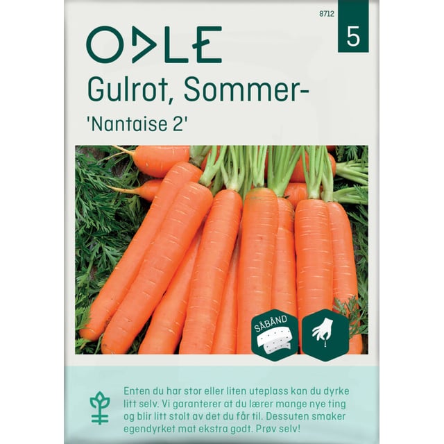 Odle 'Nantaise 2 sommer-' gulrot frø