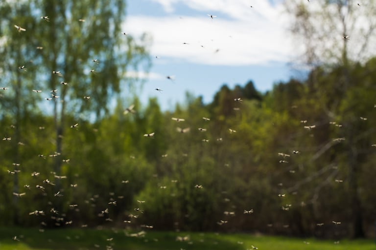 Kos deg på uteplassen – uten mygg