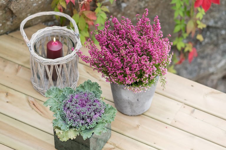 Råd for vedlikehold av terrassebord
