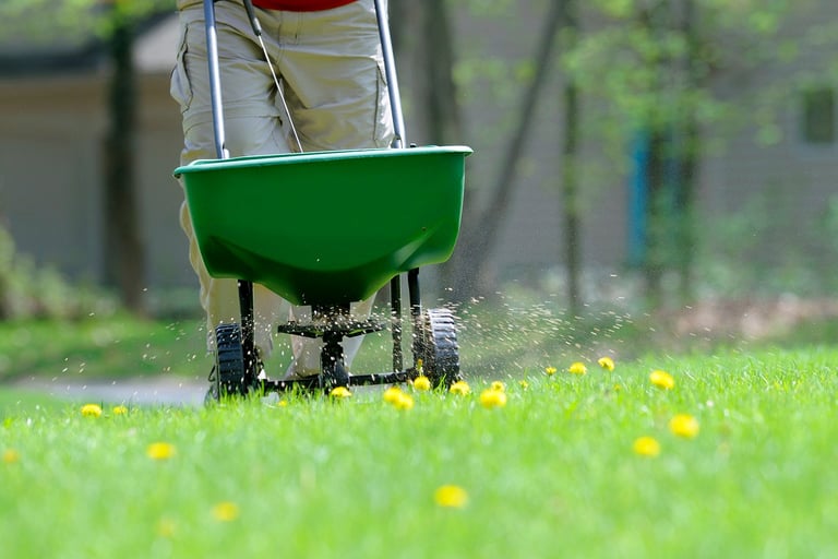Så ofte bør du gjødsle plenen