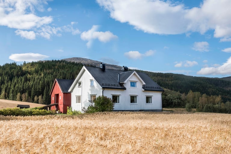 De største fordelene med takplater
