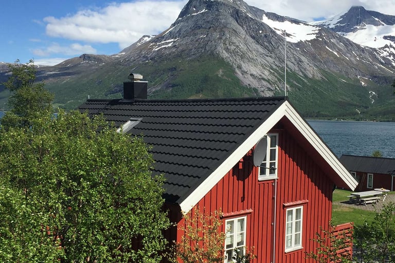 Skal du velge takplater eller takstein?