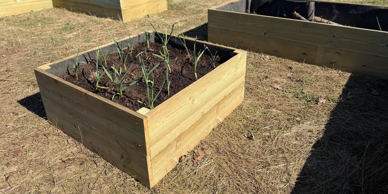 En nybygget pallekarm i vårlige omgivelser 