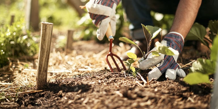 Person med hagehansker som planer i hagen med hageverktøy