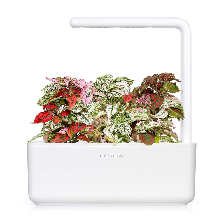 Mariquitas Solares Para Jardín: Decoración LED Que Cobra Vida Por La Noche - Pack Triple (Smart Garden)